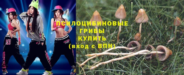 spice Алагир