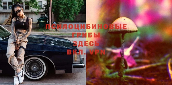 винт Баксан