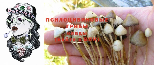 винт Баксан
